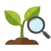 Crops Care and Growth