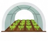 Tunnel Farming