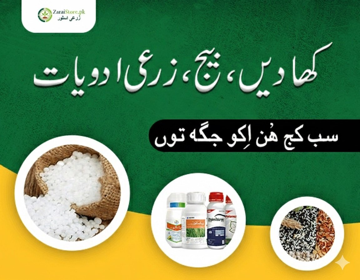 zarai store small banner